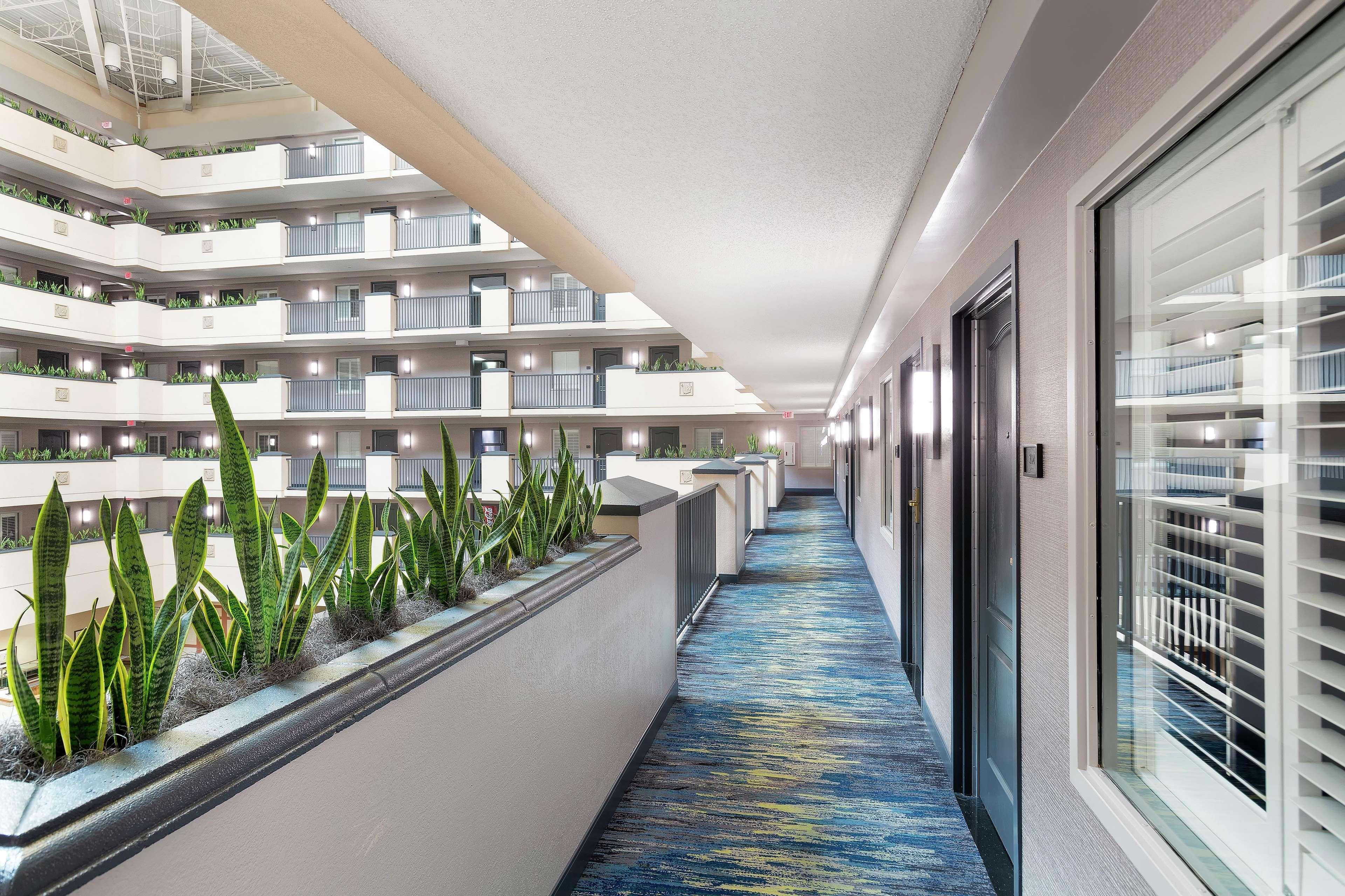 Embassy Suites By Hilton Orlando Airport Ngoại thất bức ảnh